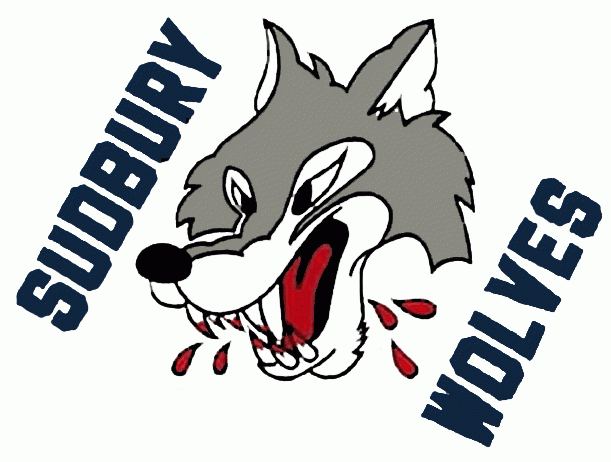 Sudbury Wolves 1989-2009 jersey logo iron on transfers for clothing